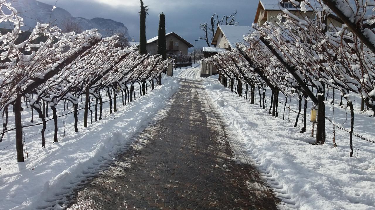 Villa Weinberghof Tramin an der Weinstraße Exterior foto